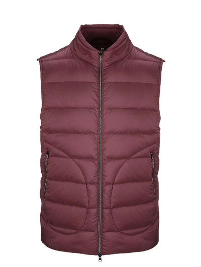 Shop Herno Men's Burgundy Polyamide Vest