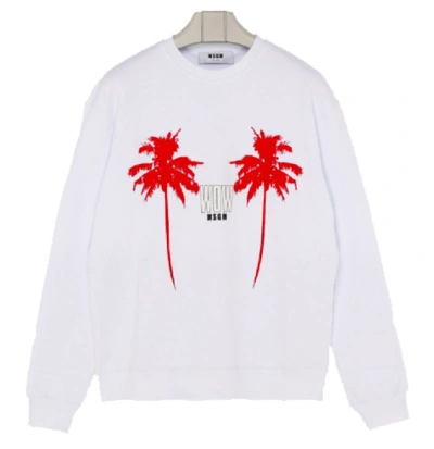 Shop Msgm White Cotton Sweatshirt