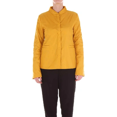 Shop Aspesi Yellow Polyamide Outerwear Jacket