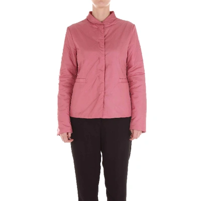 Shop Aspesi Pink Polyamide Outerwear Jacket