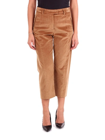 Shop Alberto Biani Brown Cotton Pants