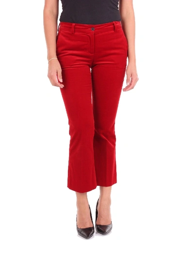 Shop Alberto Biani Red Cotton Pants