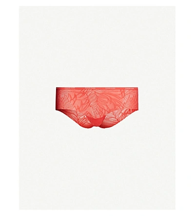 Shop Calvin Klein Sheer Marquisette Lace Briefs In Lfx Fire Lily