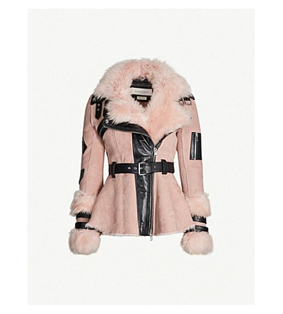 Shop Alexander Mcqueen Peplum-waist Shearling Biker Jacket In Power Pink/black