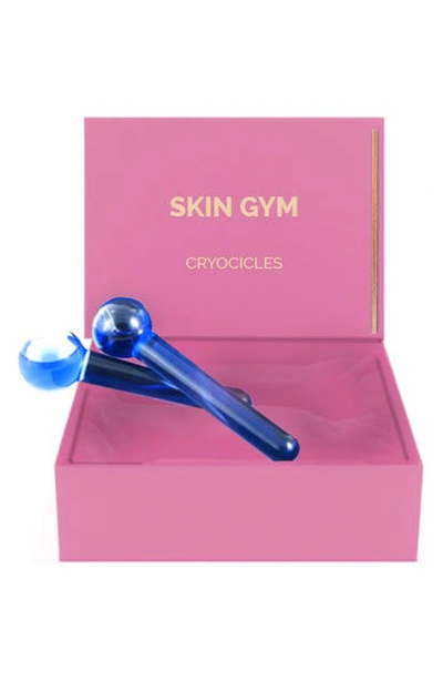 Shop Skin Gym Cryocicles Facial Massage Tool