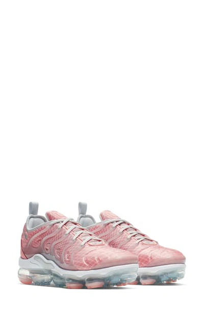 Shop Nike Air Vapormax Plus Sneaker In Bleached Coral/ Pure Platinum