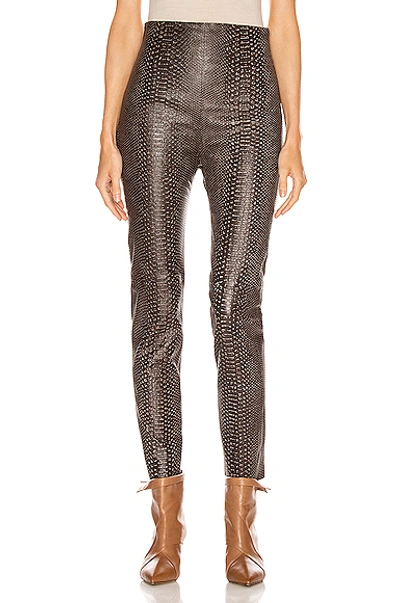 Shop Sablyn Jessica Pant In Snakeskin