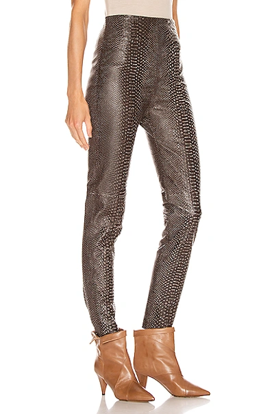 Shop Sablyn Jessica Pant In Snakeskin