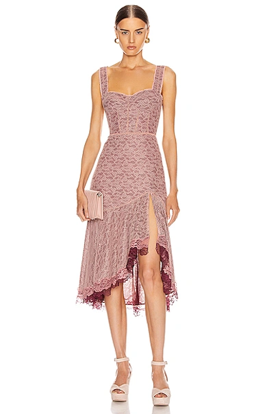 Shop Jonathan Simkhai Lace Open Slit Bustier Dress In Sienna & Antique Rose