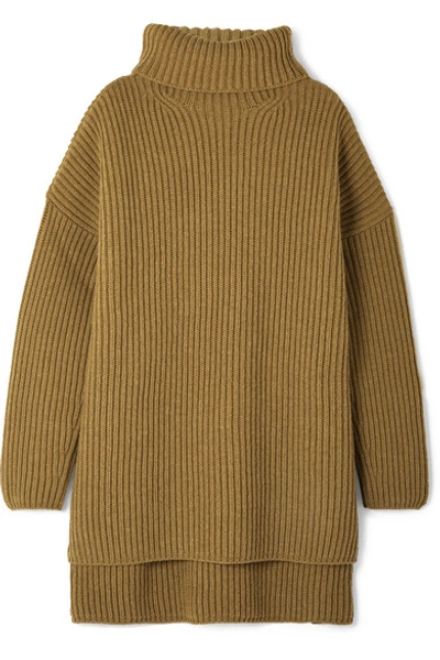 Shop Joseph Oversized Ribbed Merino Wool Turtleneck Sweater In Light Brown