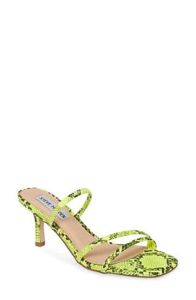 Shop Steve Madden Loft Slide Sandal In Green Snake Print