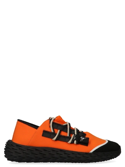 Shop Giuseppe Zanotti Orange Sneakers