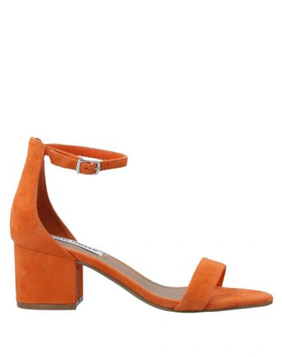 Shop Steve Madden Sandals In Orange
