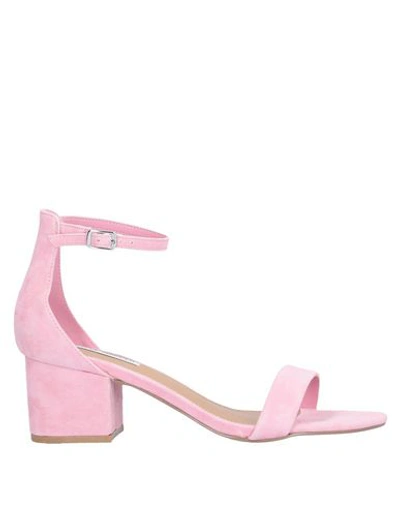Shop Steve Madden Irenee Woman Sandals Pink Size 7 Soft Leather