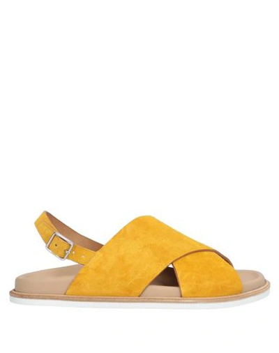 Shop Alberto Fermani Sandals In Yellow