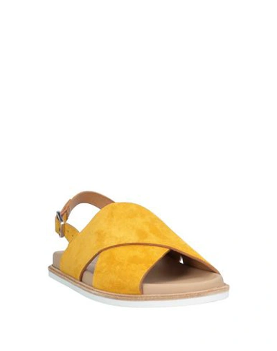 Shop Alberto Fermani Sandals In Yellow