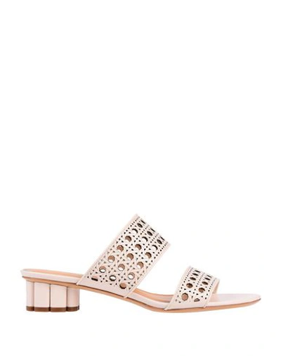 Shop Ferragamo Sandals In Beige