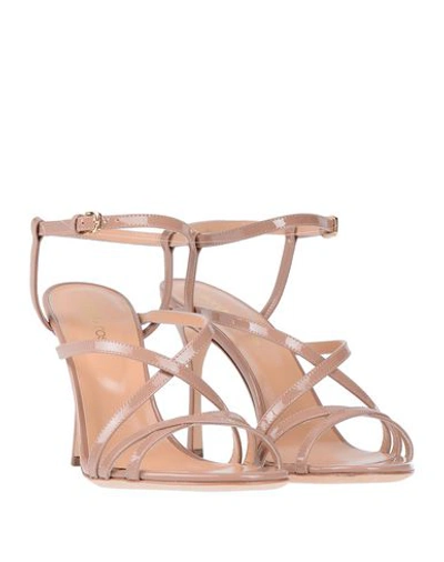 Sergio Rossi Sandals In Light Brown