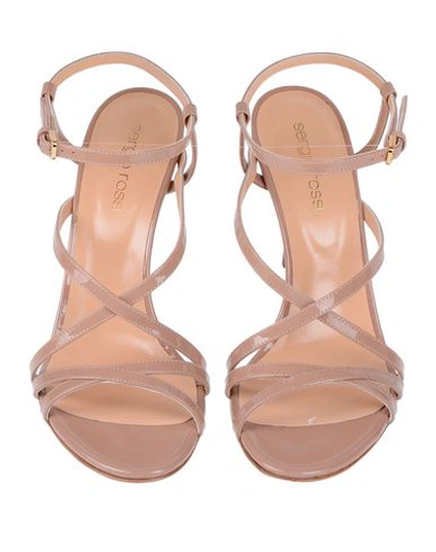 Sergio Rossi Sandals In Light Brown