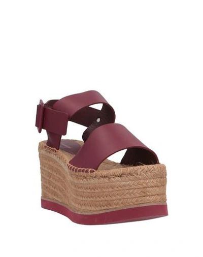 Paloma Barceló Sandals In Maroon