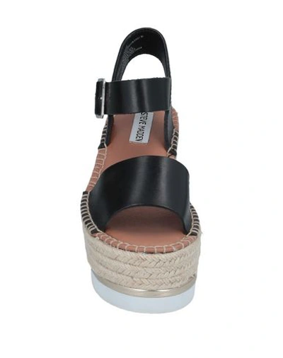 Shop Steve Madden Woman Sandals Black Size 7.5 Soft Leather