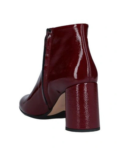 Shop Anna F Ankle Boots In Maroon