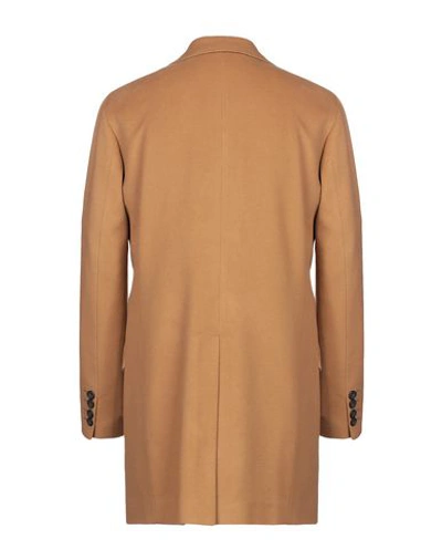 Shop Saint Paul Coat In Camel