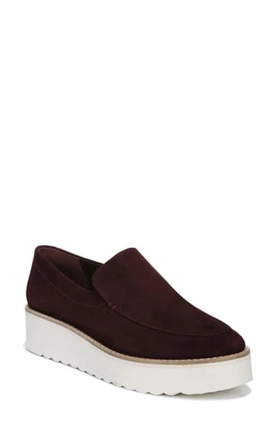 Shop Vince Zeta Platform Loafer In Dahlia Wine