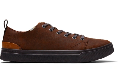 Shop Toms Schuhe Braune Leder Trvl Lite Sneakers Für Herren - Grösse 42 In Brown