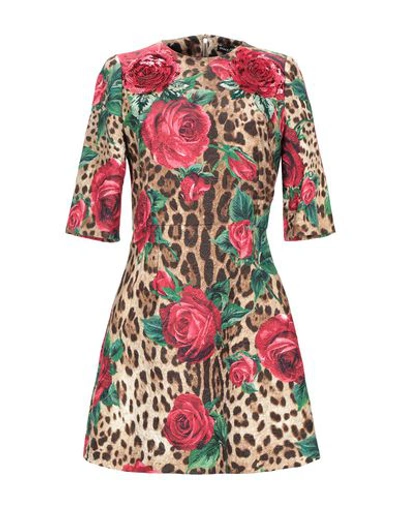Shop Dolce & Gabbana Woman Mini Dress Sand Size 4 Cotton, Silk, Viscose, Pvc - Polyvinyl Chloride, Glass In Beige