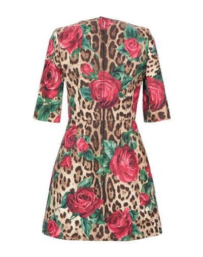 Shop Dolce & Gabbana Woman Mini Dress Sand Size 2 Cotton, Silk, Viscose, Pvc - Polyvinyl Chloride, Glass In Beige
