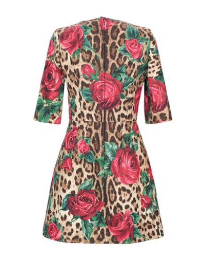 Dolce & Gabbana Brown Leopard Red Roses Cotton A-line Dress In Beige