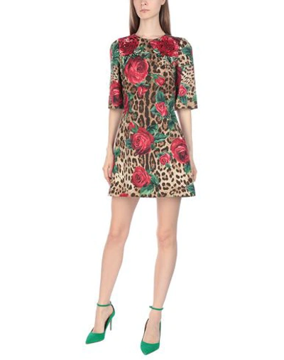 Dolce & Gabbana Brown Leopard Red Roses Cotton A-line Dress In Beige