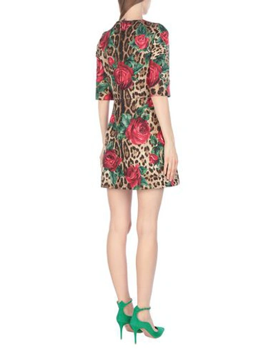 Dolce & Gabbana Brown Leopard Red Roses Cotton A-line Dress In Beige