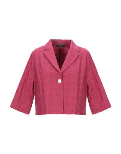 Shop Antonelli Woman Suit Jacket Garnet Size 10 Cotton, Elastane In Red