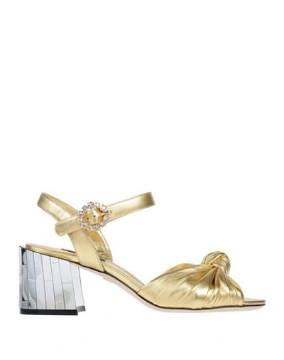 Shop Dolce & Gabbana Woman Sandals Gold Size 5.5 Lambskin
