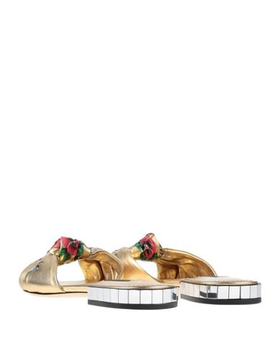 Shop Dolce & Gabbana Woman Sandals Gold Size 5 Soft Leather