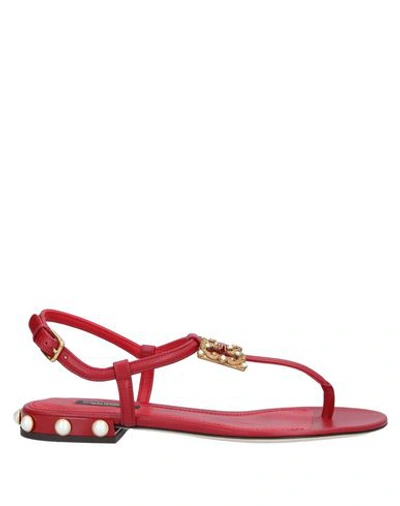 Shop Dolce & Gabbana Woman Toe Strap Sandals Red Size 5.5 Calfskin