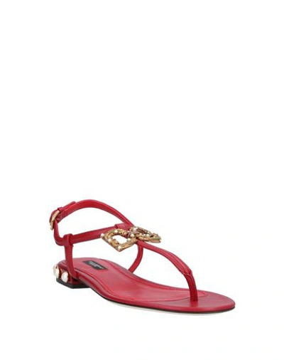 Dolce & Gabbana Embellished T-strap Sandal In Red
