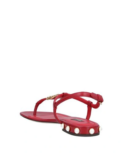 Shop Dolce & Gabbana Woman Toe Strap Sandals Red Size 5.5 Calfskin