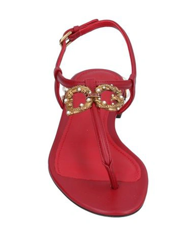 Dolce & Gabbana Embellished T-strap Sandal In Red
