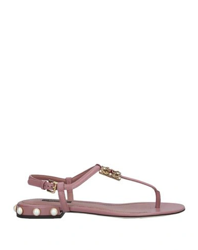 Shop Dolce & Gabbana Woman Toe Strap Sandals Pastel Pink Size 5.5 Calfskin