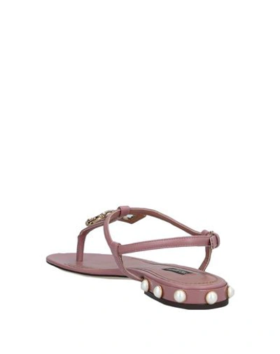 Shop Dolce & Gabbana Woman Toe Strap Sandals Pastel Pink Size 5.5 Calfskin