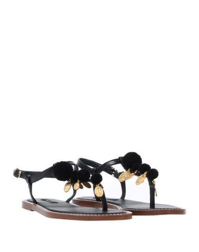 Dolce & Gabbana Sandals In Black