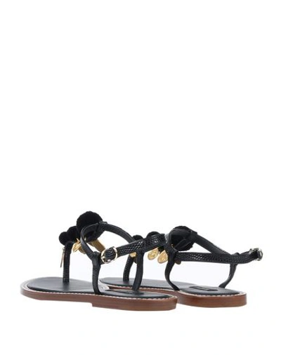 Shop Dolce & Gabbana Woman Sandals Black Size 7 Soft Leather