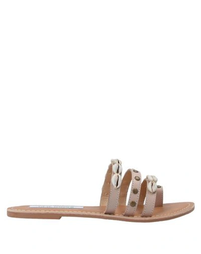 Shop Steve Madden Woman Toe Strap Sandals Light Pink Size 6.5 Soft Leather