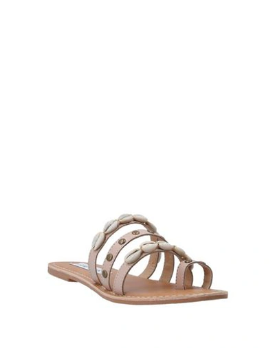 Shop Steve Madden Woman Toe Strap Sandals Light Pink Size 6.5 Soft Leather