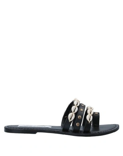 Shop Steve Madden Woman Thong Sandal Black Size 8 Soft Leather