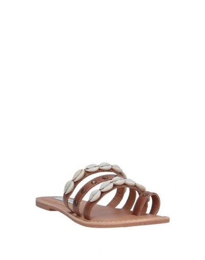 Shop Steve Madden Woman Thong Sandal Brown Size 6 Soft Leather