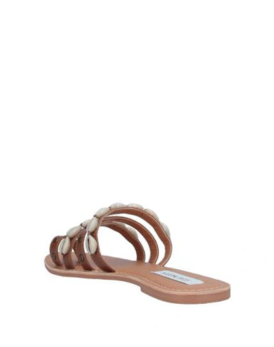 Shop Steve Madden Woman Thong Sandal Brown Size 6.5 Soft Leather